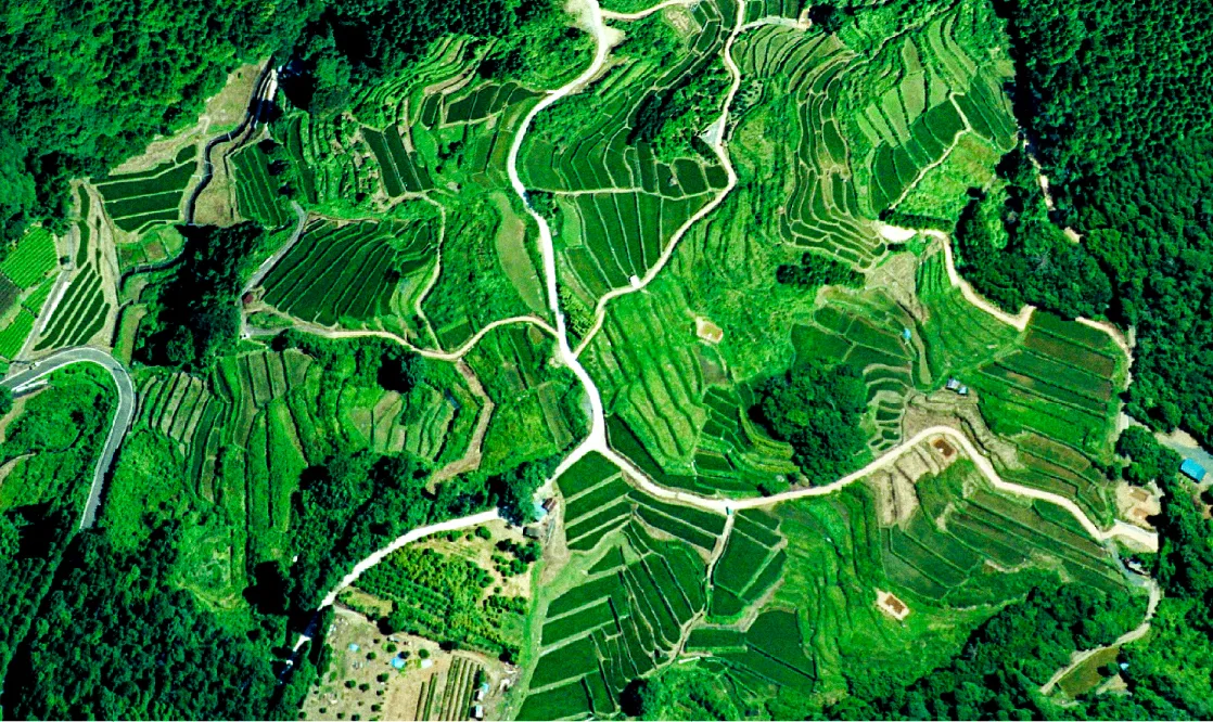 COMMUNITY ENGAGEMENT 社会貢献活動紹介